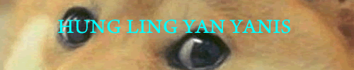 Yanis Hung